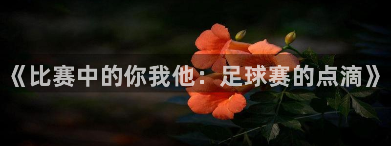 od体育网